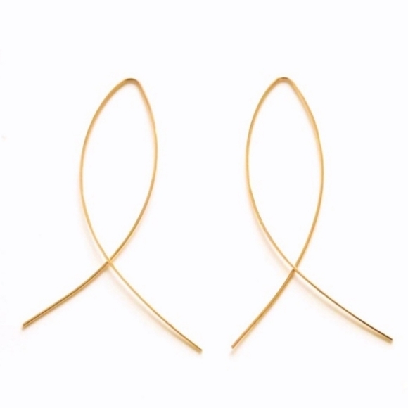 Jewelry Nwt Fish Hook Hoop Earrings Very Understated Poshmark